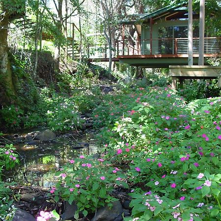 Treetops Montville Ngoại thất bức ảnh