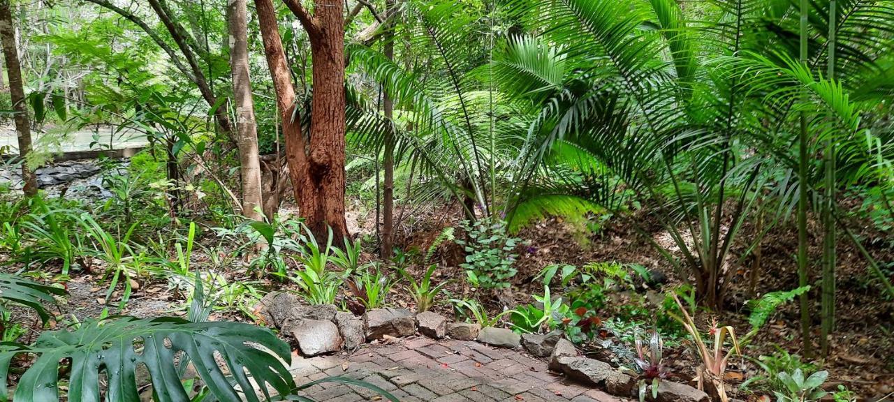 Treetops Montville Ngoại thất bức ảnh