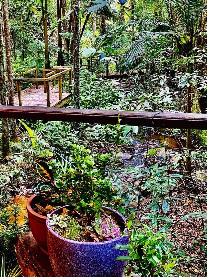 Treetops Montville Ngoại thất bức ảnh