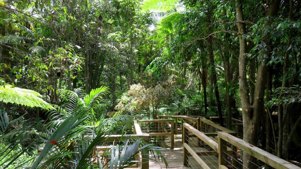 Treetops Montville Ngoại thất bức ảnh