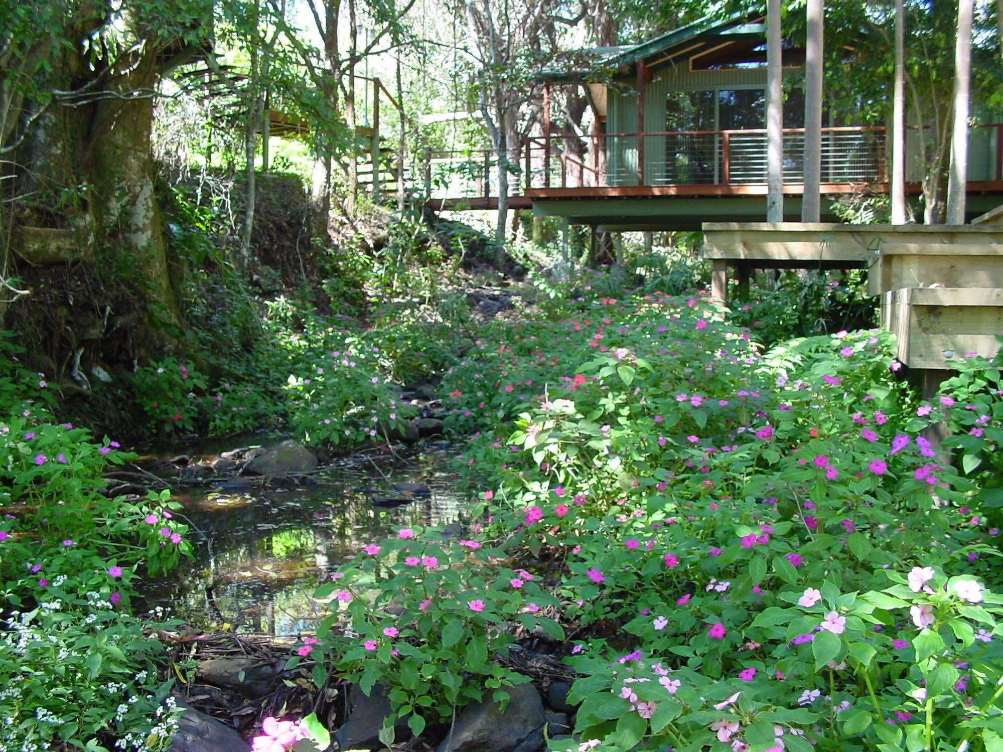 Treetops Montville Ngoại thất bức ảnh