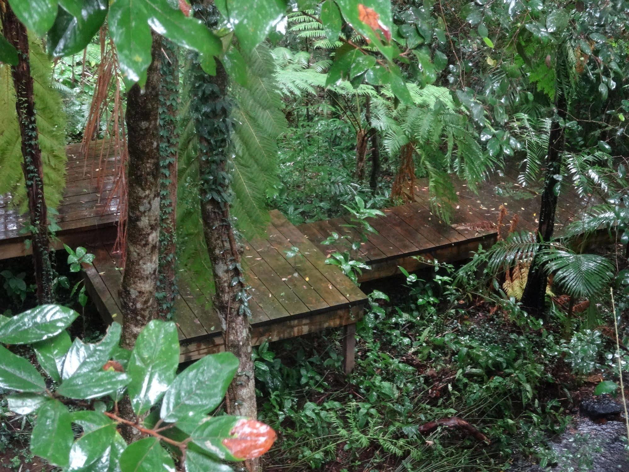 Treetops Montville Ngoại thất bức ảnh