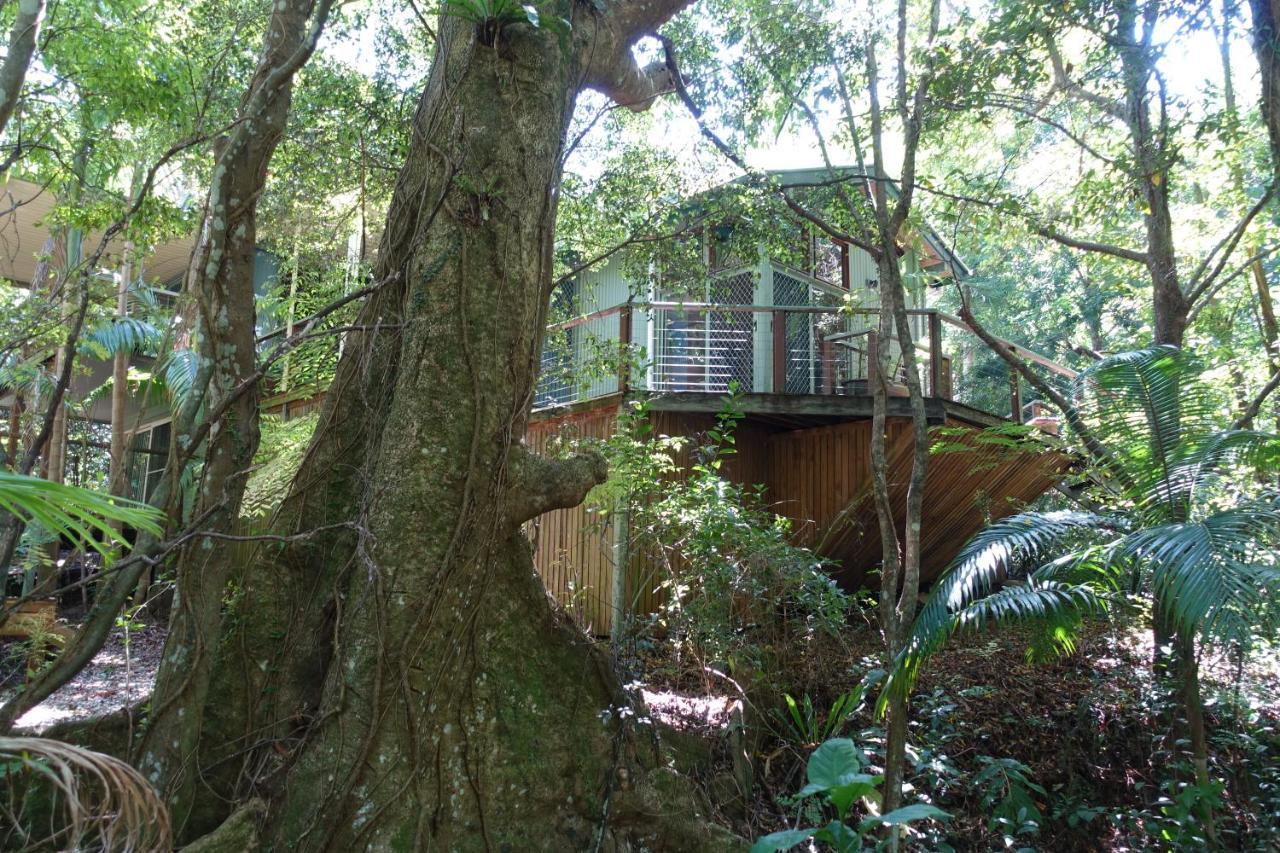 Treetops Montville Ngoại thất bức ảnh
